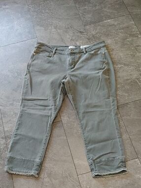 J. Jill Cropped Ankle Pants in Sage Green